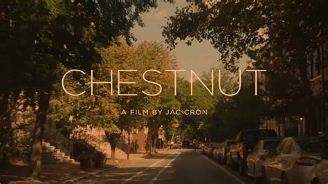 chestnut 123movies|‎Chestnut (2023) directed by Jac Cron • Reviews, film .